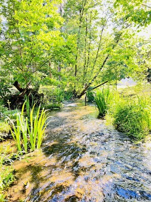 Big Rock Creek! Kids and adults enjoy the show water and sandy bottom!