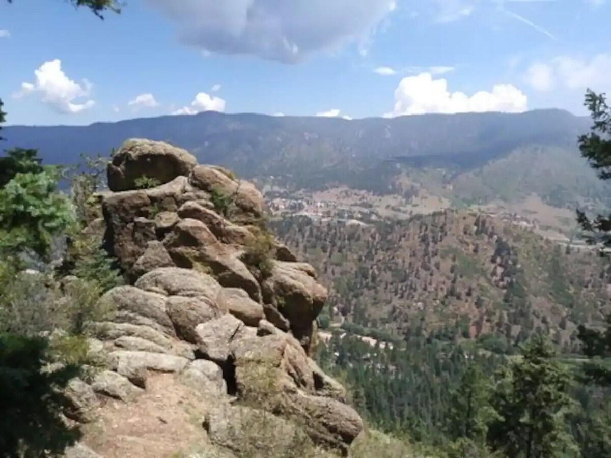 Main Image