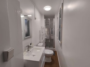 Shower room : shower + single washbasin + WC