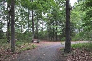 Access to Junction Breakwater Trail