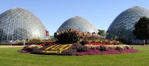 Mitchell Park Conservatory - The Domes