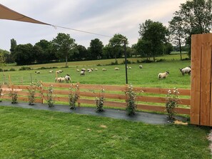 Les voisins du gîte.