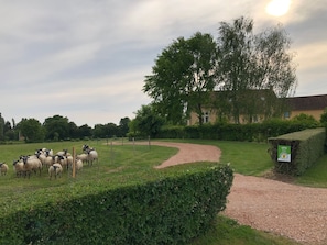 L'accès au gîte, à proximité de la maison des propriétaires. 