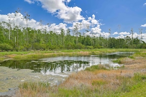 Villa Paradise at The Preserve - Beautiful west facing lake and preserve view, ensures fabulous sunsets from this home!