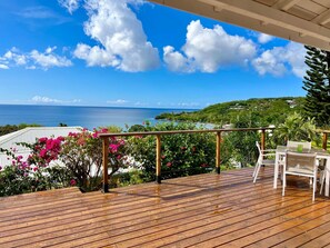 Terrace and breathtaking view