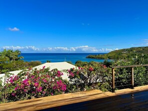 The view of the Caribbean Sea