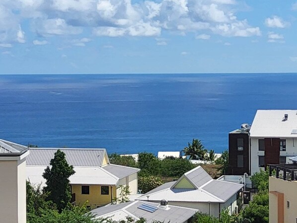 Beach/ocean view