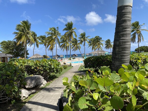 To the pool and beach beyond