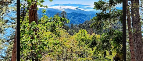 Green Valley/5 miles from The Owls Nest