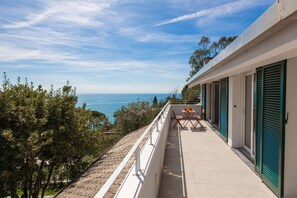 Balcony / Terrace / Patio, Scenic View