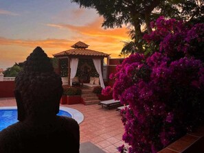 Garden,Sunset