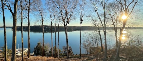 View from back porch