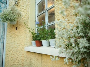 Terrasse/gårdhave