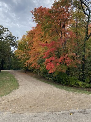 So beautiful in the fall!