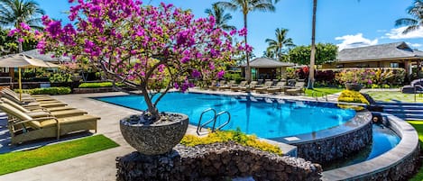 Outdoor infinity pool at the Clubhouse