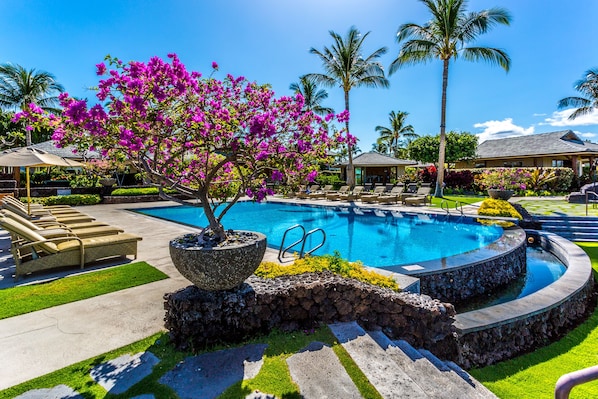 Outdoor infinity pool at the Clubhouse