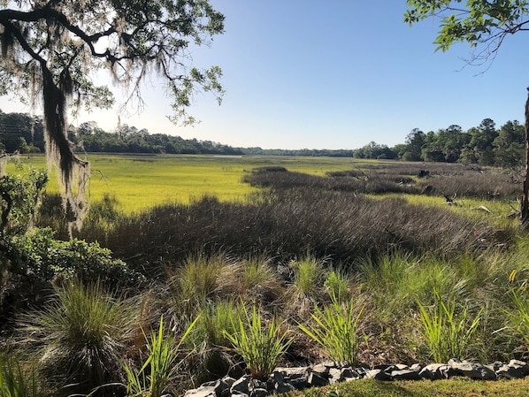 Breath Taking backyard view. River can be seen at High Tide