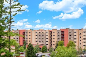 Condos Building. Our unit is near south end, top floor, amazing river view.
