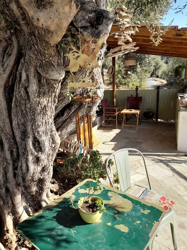 Terrazza/patio