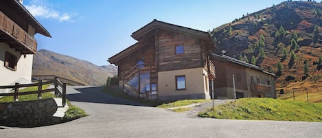 Exteriör