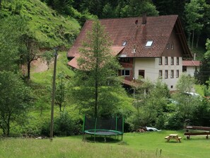 Pflanze, Gebäude, Fenster, Baum, Natürliche Landschaft, Botanik, Natürlichen Umgebung, Haus, Grundstueck, Vegetation