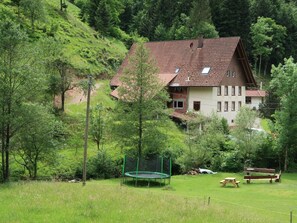 Plante, Bâtiment, Propriété, Fenêtre, Arbre, La Nature, Paysage Naturel, Botanique, Environnement Naturel, Maison