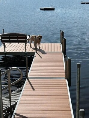 Pet-friendly