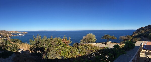 East view, panoramic