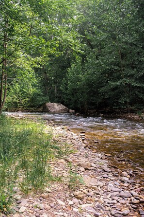 Walk the riverside trails from the yurt along the serene Dry River.