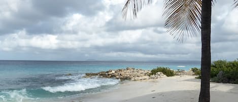 Enjoy access to a private sandy beach where you can relax, dive, or snorkel!