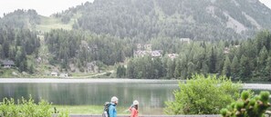 Agua, Planta, Los Recursos Hídricos, Montaña, Naturaleza, Verde, Lago, Paisaje Natural, Árbol, Cuerpo De Agua
