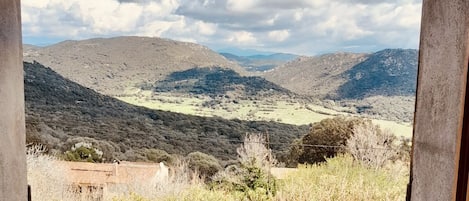 Vista dalla struttura