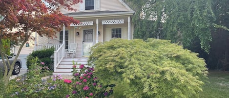 the house is surrounded by trees: quiet, lovely, and walkable to bay and ocean. 