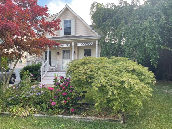 the house is surrounded by trees: quiet, lovely, and walkable to bay and ocean. 