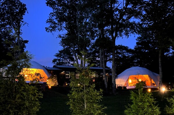 Our Luxury Dome Experience is Unique and Magical 