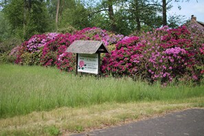 Boendeområde