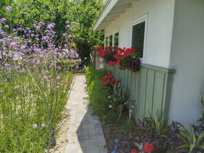 Walkway in front of House