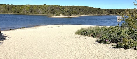 Nearby Seacoast Shores Association Beach