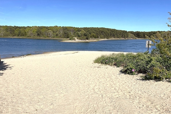 Nearby Seacoast Shores Association Beach