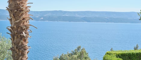 Vista desde la propiedad