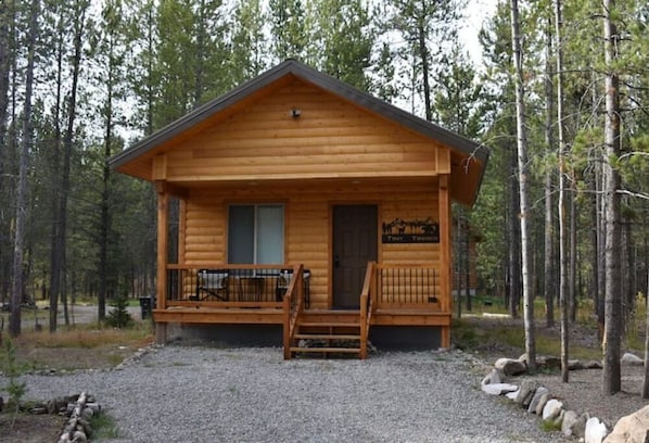 Welcome to the Tiny Timber!