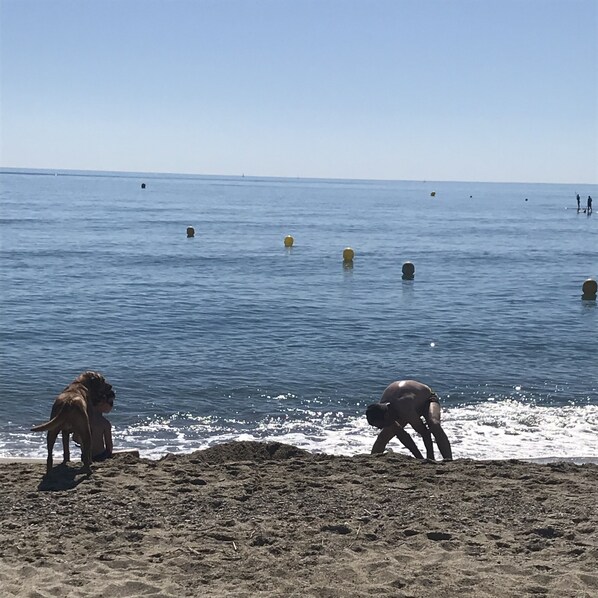 Strand