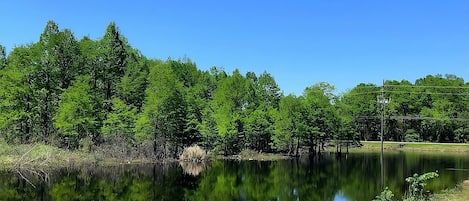 Terrain de l’hébergement 