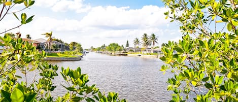 Jardines del alojamiento