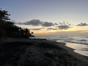 ビーチ