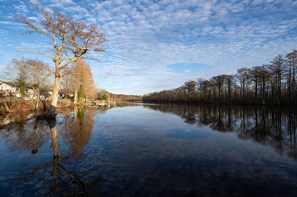 The Pocomoke River offers something for everyone.
