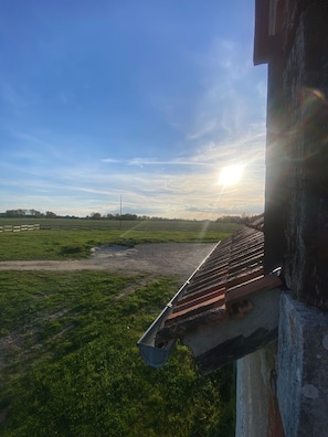Boendeområde