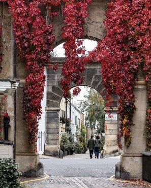 Famous red Ivy of Kynance Mews in the Autumn, popular with travel journalists