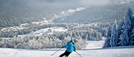 Esportes de neve e esqui