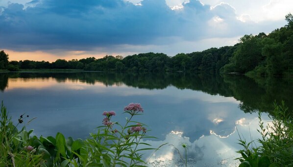 Horsetail Lake